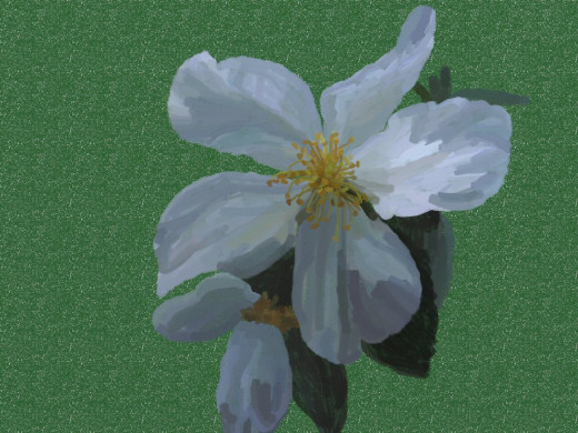 304121 (a): :1024x768